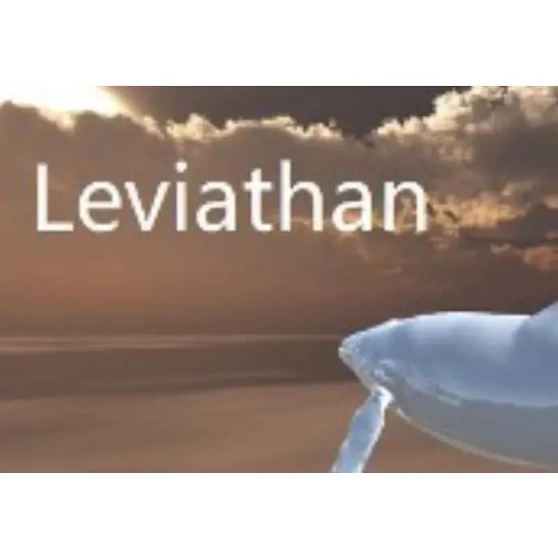 Buy Leviathan Steam CD Key - Steam Key | Instant Delivery