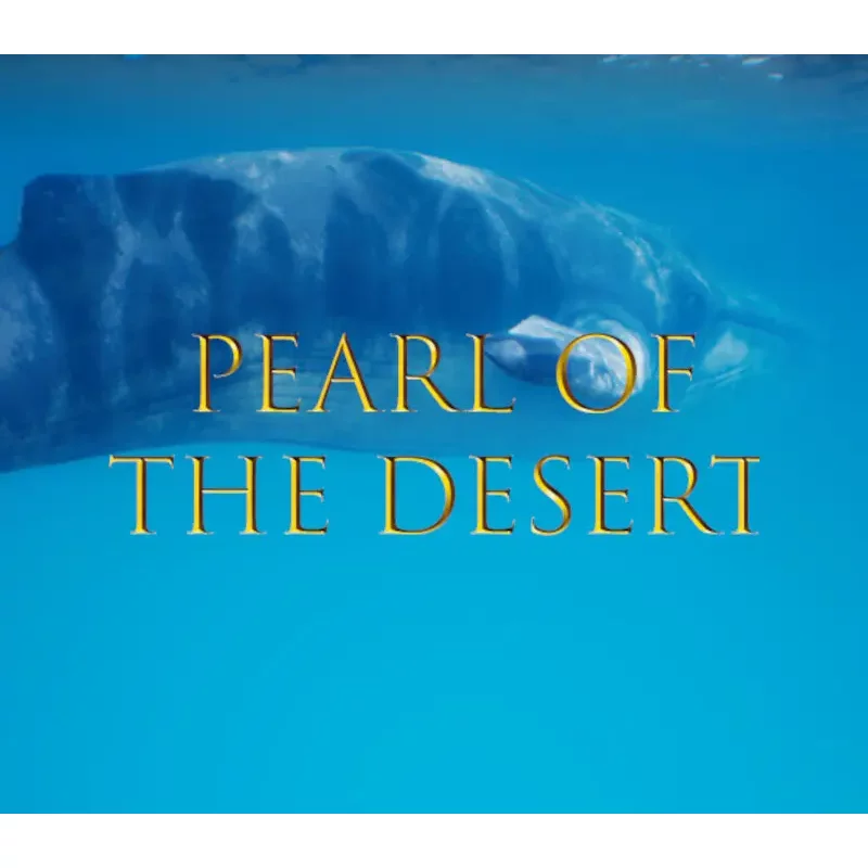 Buy Pearl of the Desert PC Steam CD Key | Instant Delivery