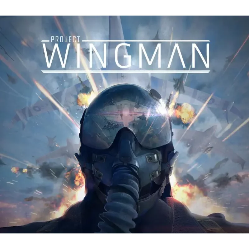 Project Wingman LATAM - Action Flight Combat Game | Steam CD