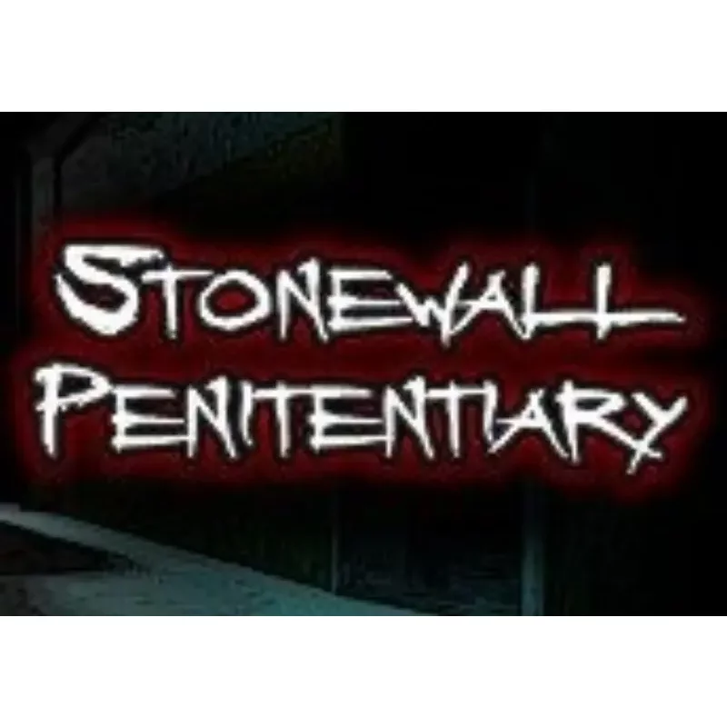 Buy Stonewall Penitentiary Steam CD Key - Steam Key | Instan