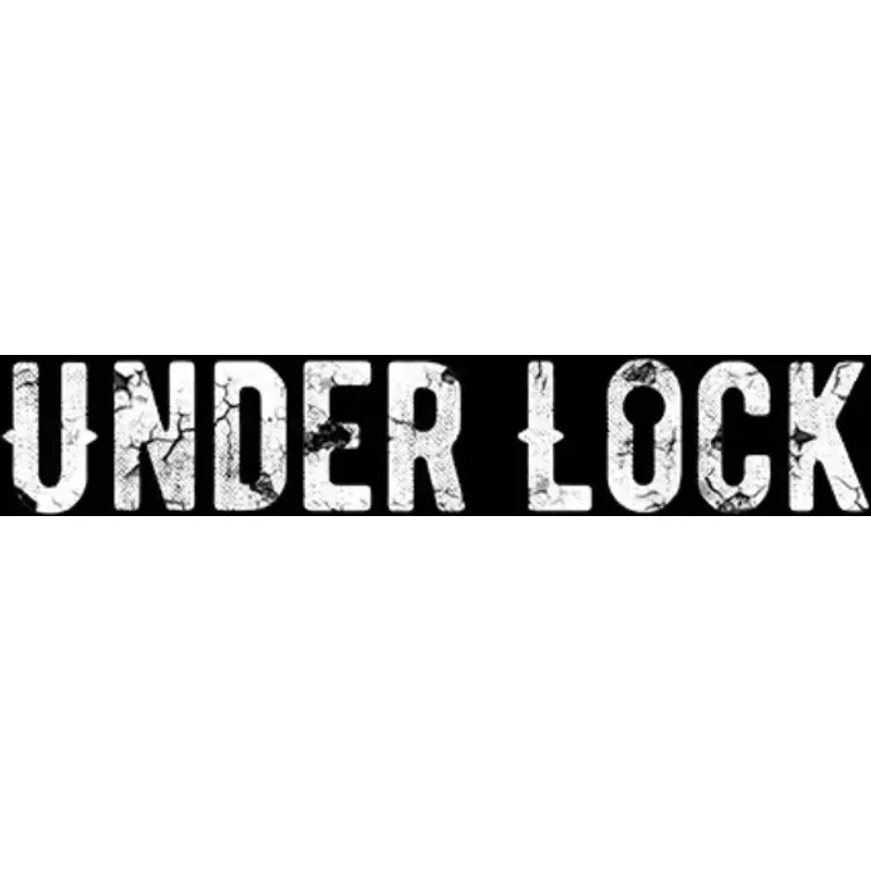 Buy Under Lock Steam CD Key - Steam Key | Instant Delivery
