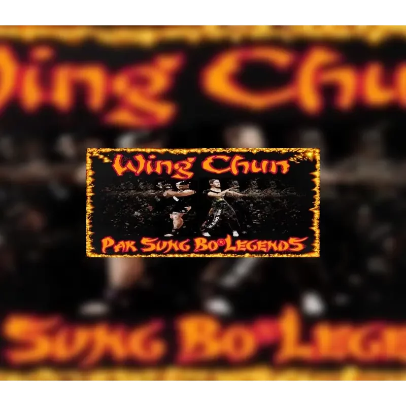 Buy Wing Chun Pak Sung Bo Legends Steam CD Key - Steam Key