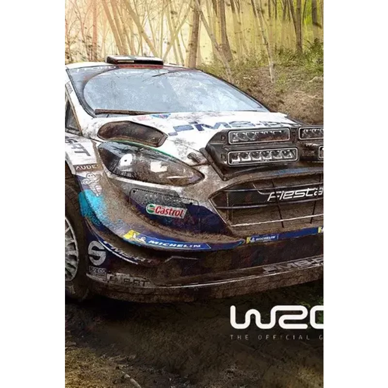 WRC 9 FIA World Rally Championship ASIA (Steam) | Aussui