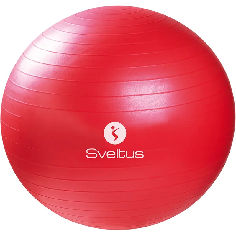 Gymball + boîte Sveltus 65cm