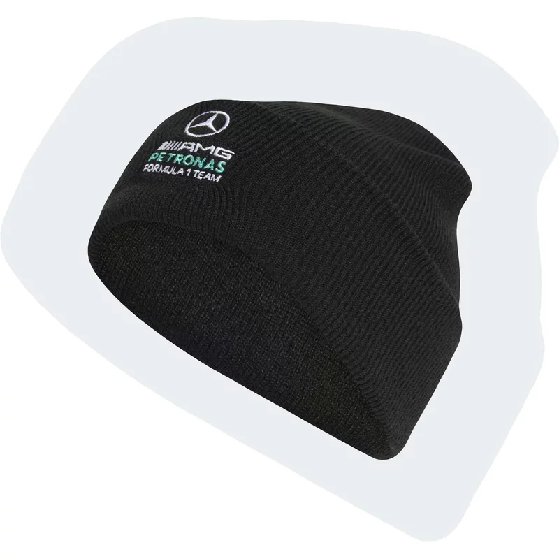 Bonnet Mercedes AMG Petronas Formula One Team DNA