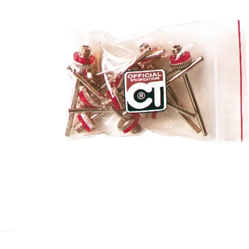 Sachet de 12 aiguilles de gonflage