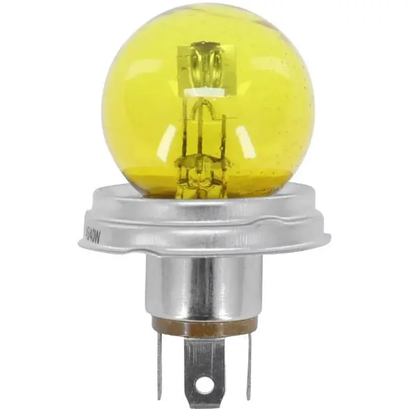 Ampoule Flosser Culot P45t Bulb R2