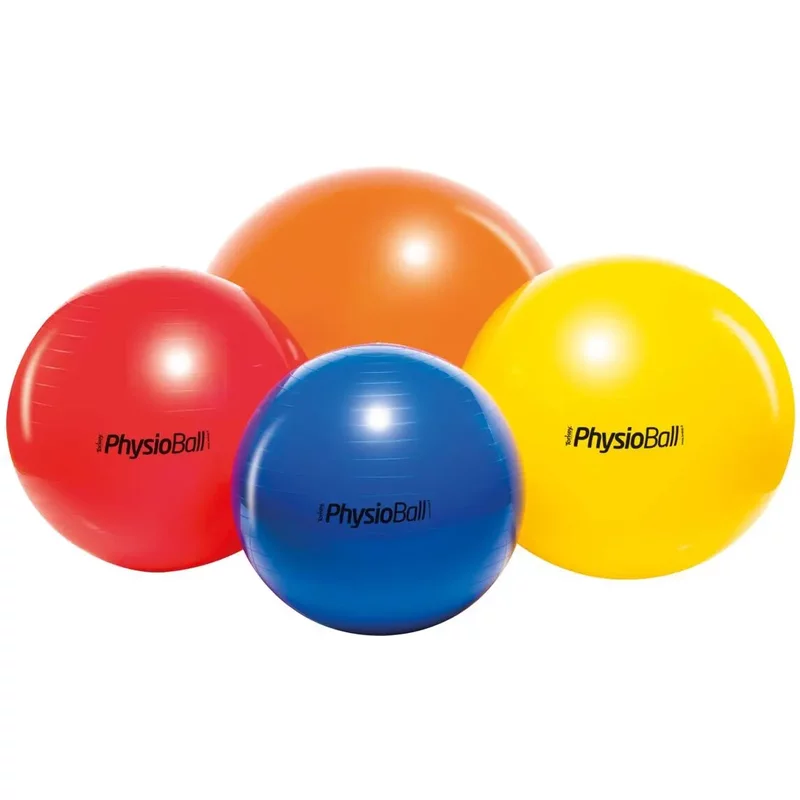 Ballon d'entraînement Ledragomma Original Physioball