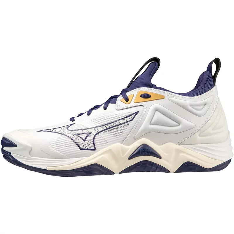 Chaussures indoor Mizuno Wave Momentum 3