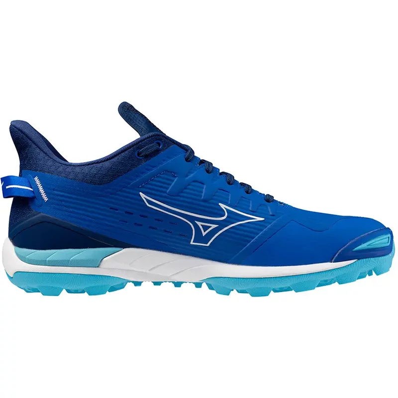 Chaussures indoor Mizuno Wave Leopardus