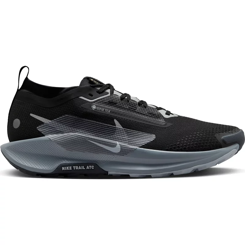 Chaussures de trail Nike Pegasus Trail 5 GORE-TEX
