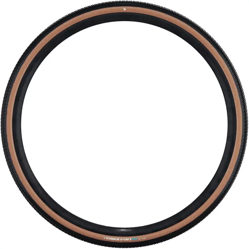 Pneu de vélo Schwalbe G-One R Evo Race TLR