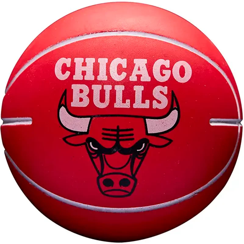 Balle rebondissante NBA Dribbler Chicago Bulls