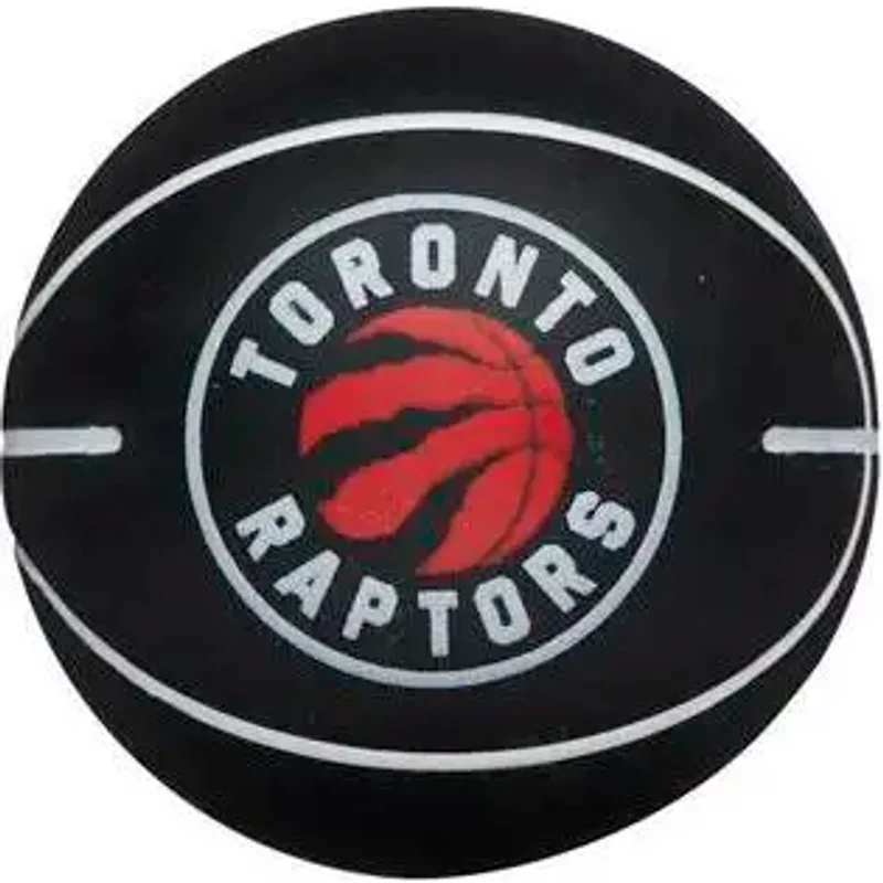 Balle rebondissante NBA Dribbler Toronto Raptors