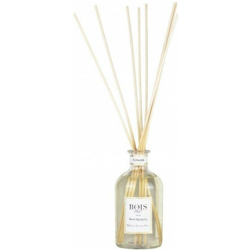 Bois 1920 Bois 1920 Home Fragrances - Ginger - 500 Ml + Bacchette-image