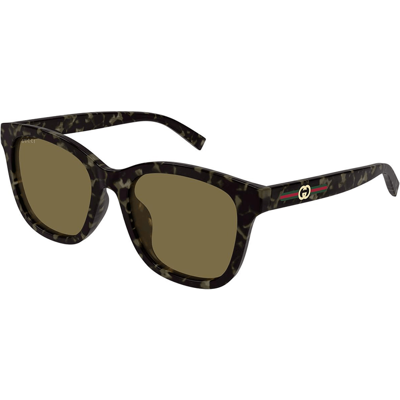 Gucci Kobieta Gucci GG1984SK 002 Okulary przeciwsłoneczne Wstrzyknięty Hawana Niebieski Okrągły