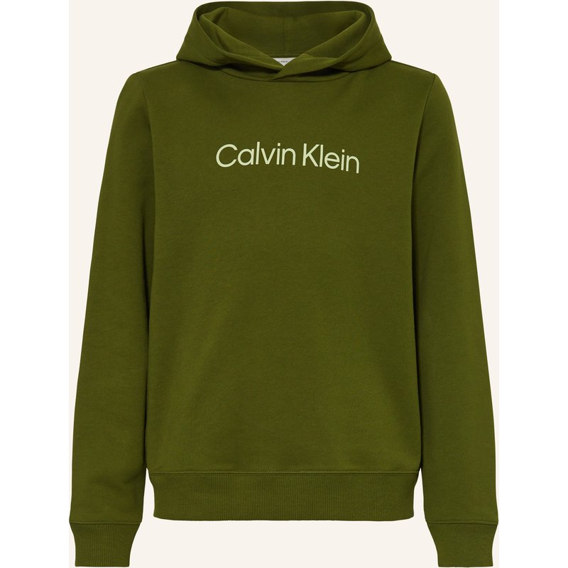 Calvin Klein Hoodie Logo Reg gruen