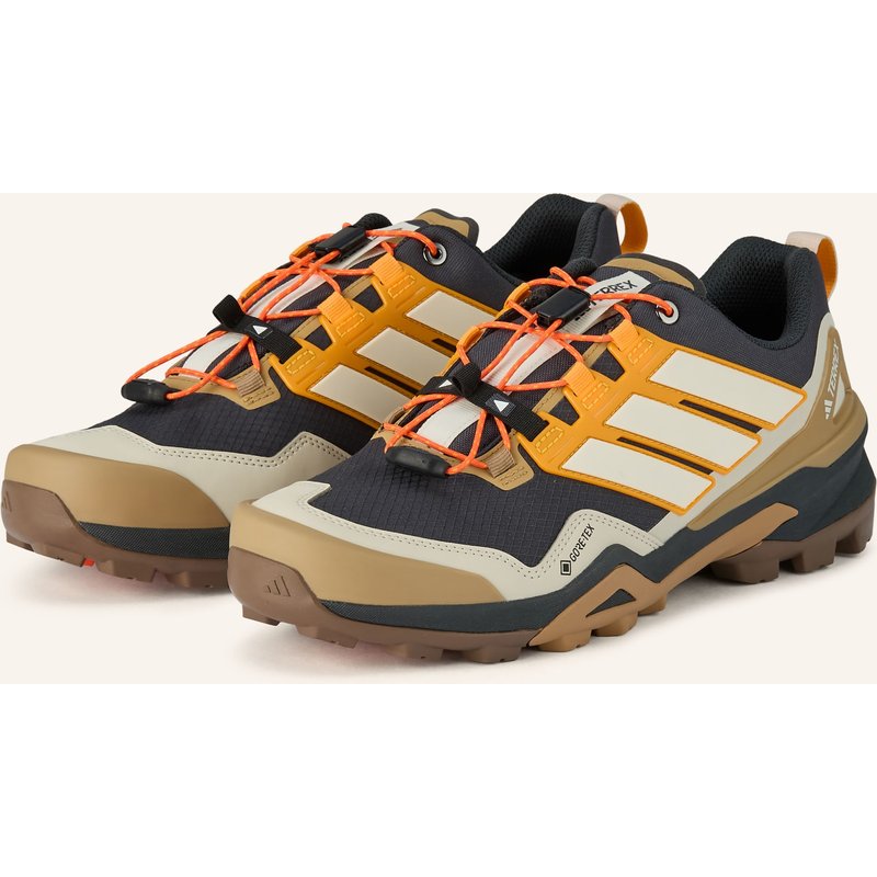 Adidas Terrex Wanderschuhe Terrex Skychaser Gtx grau