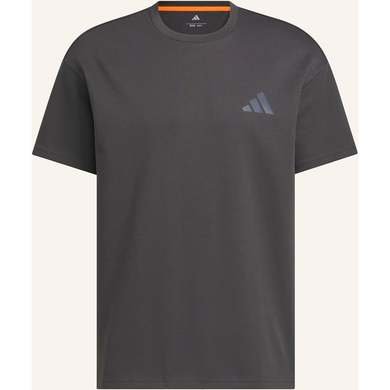 Adidas Terrex T-Shirt Graphic grau