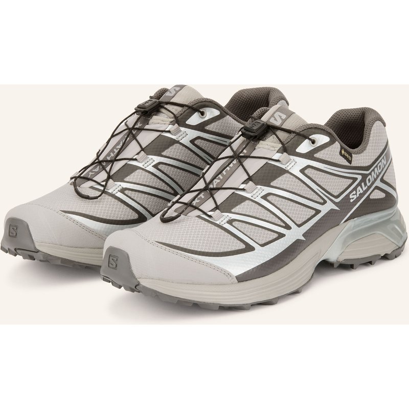 Salomon Sneaker Xt-Pathway Gtx grau