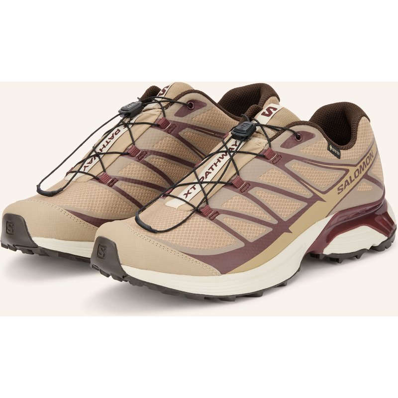 Salomon Sneaker Xt-Pathway Gtx beige