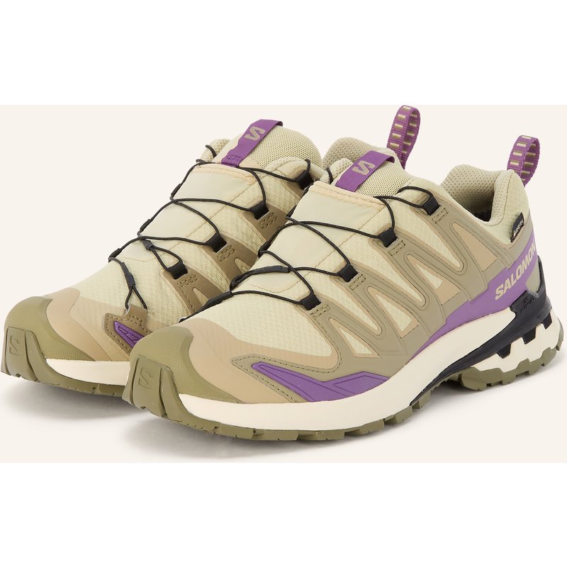 Salomon Wanderschuhe Xa Pro 3d v9 Gtx gruen