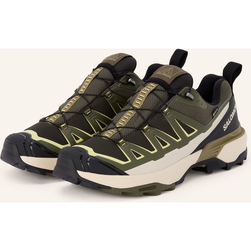 Salomon Wanderschuhe X Ultra 360 Edge Gtx gruen