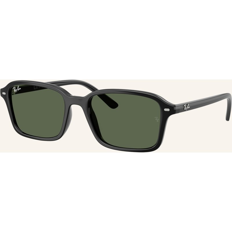 Ray-Ban Sonnenbrille rb9131s schwarz