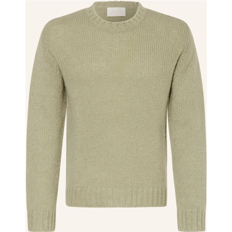 Juvia Pullover Robert Aus Merinowolle gruen