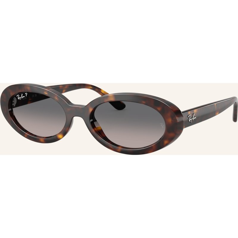 Ray-Ban Sonnenbrille rb2223f braun