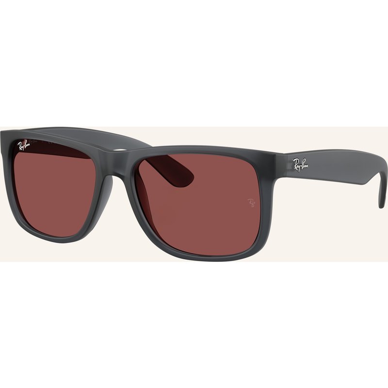 Ray-Ban Sonnenbrille rb4165 grau