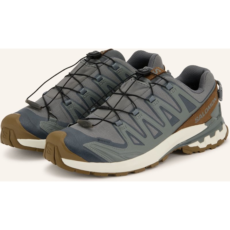 Salomon Trailrunning-Schuhe Xa Pro 3d v9 Gx Lifelong braun