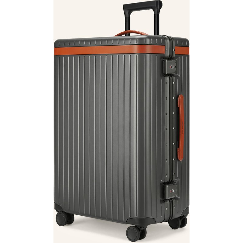 Carl Friedrik Trolley The Check-In braun