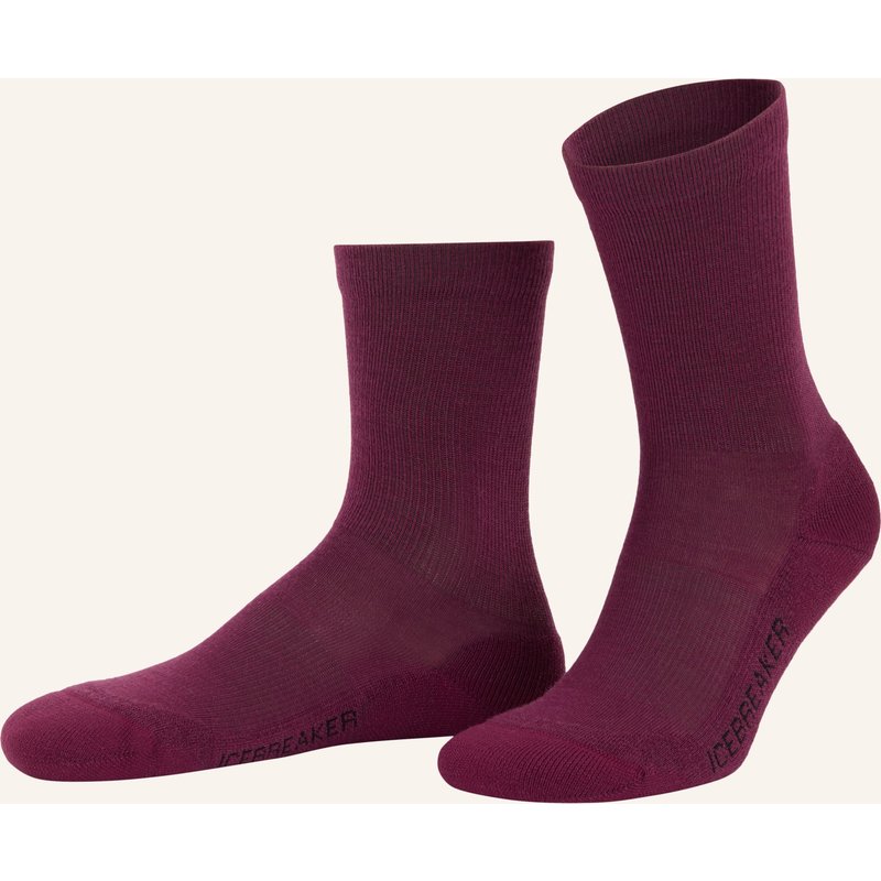 Icebreaker Trekking-Socken Lifestyle Mit Merinowolle lila