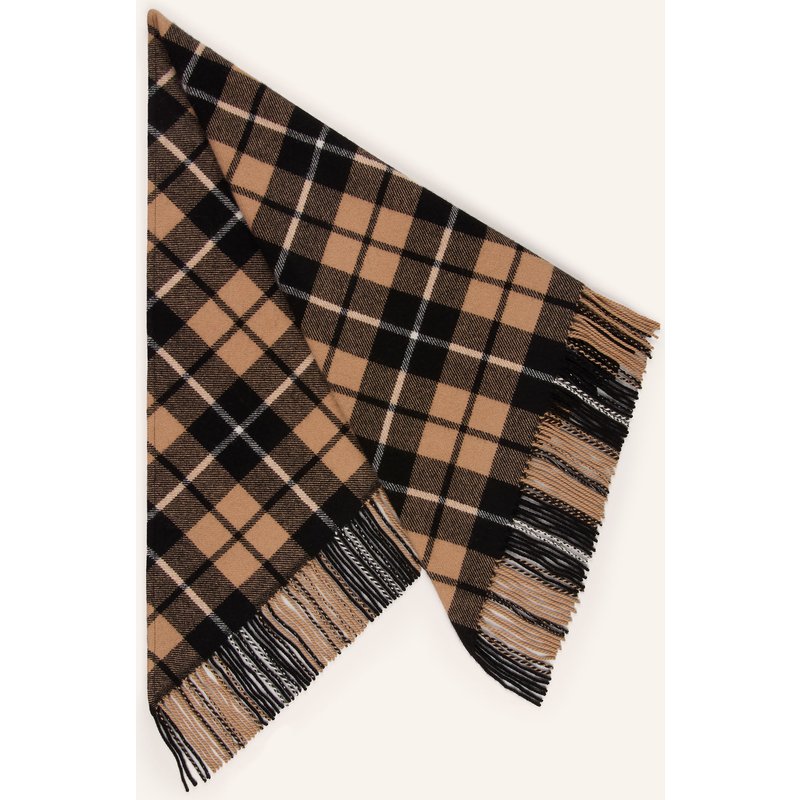 Weekend Max Mara Cashmere-Schal Aumido braun