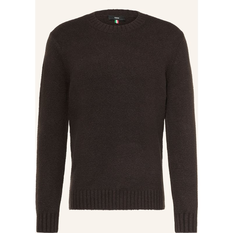 Cinque Pullover Cizac braun