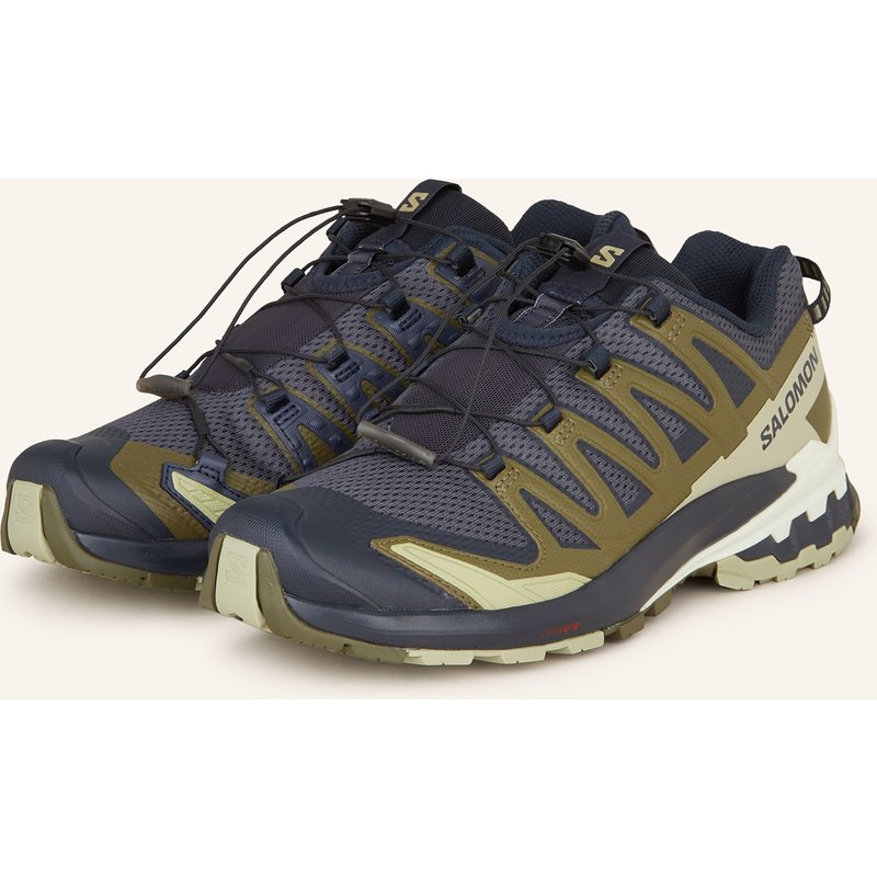 Salomon Wanderschuhe Xa Pro 3d v9 grau