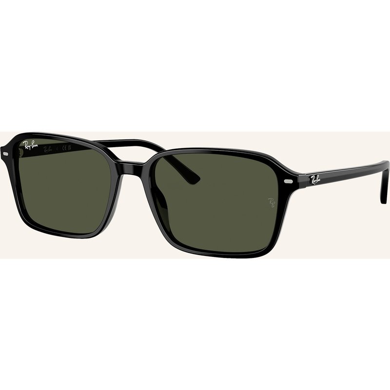 Ray-Ban Sonnenbrille rb2231 Raimond schwarz