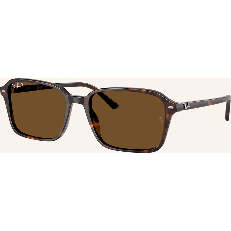 Ray-Ban Sonnenbrille rb2231 Raimond braun