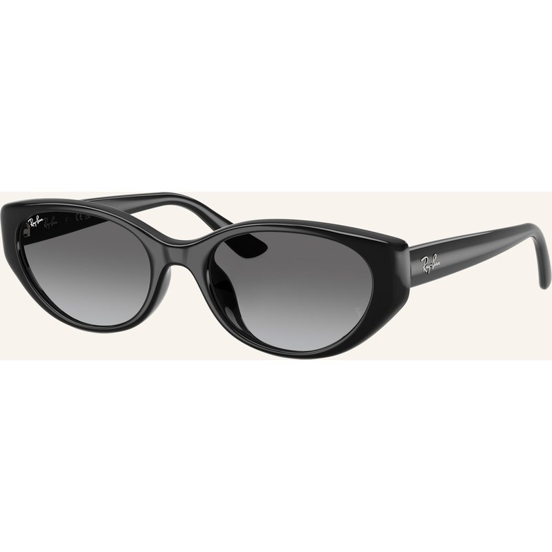 Ray-Ban Sonnenbrille rb4457d schwarz