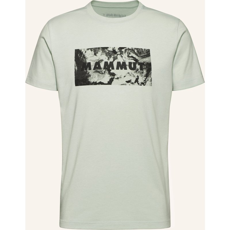Mammut T-Shirt Trovat grau