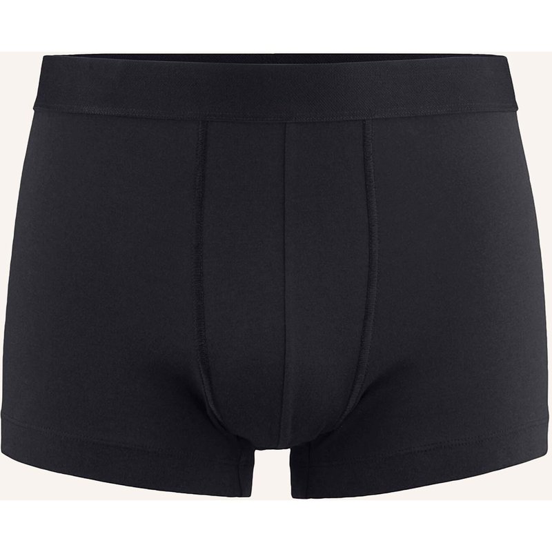 Hessnatur Pants Regular Cut schwarz