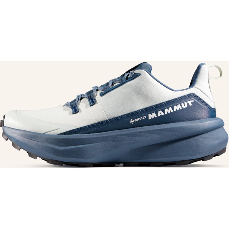 Mammut Wanderschuh Aenergy Hike Low Gtx gruen