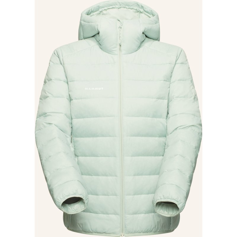 Mammut Funktionsjacke Crag In gruen