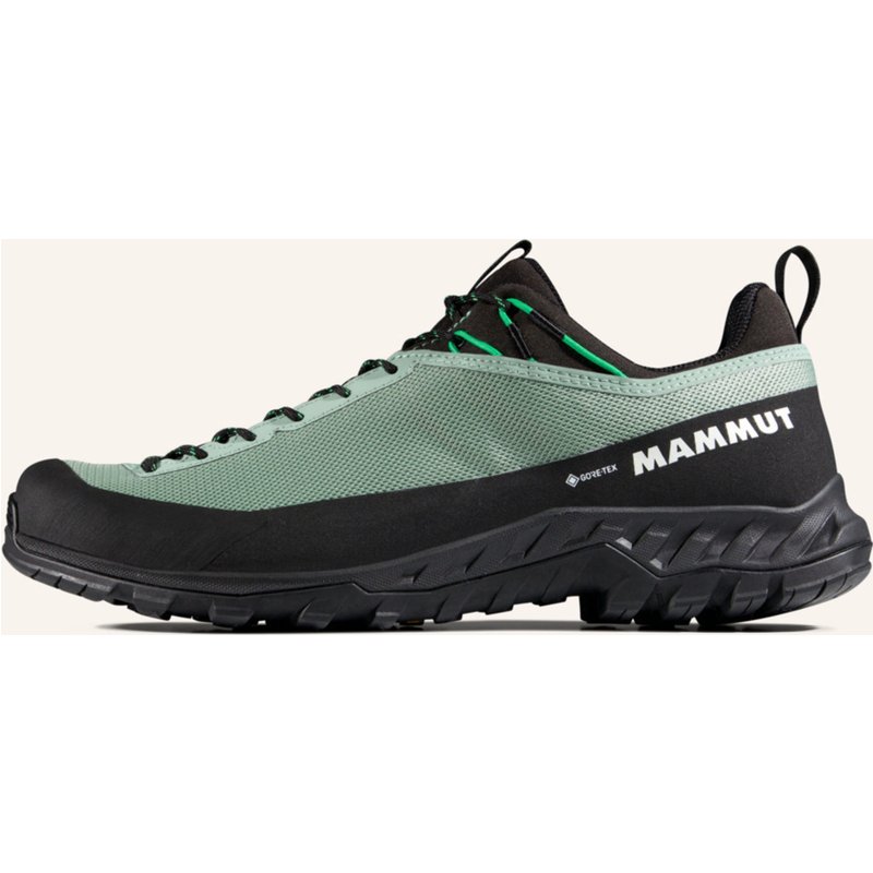 Mammut Zustiegsschuhe Alnasca Iv Low Gore-Tex grau