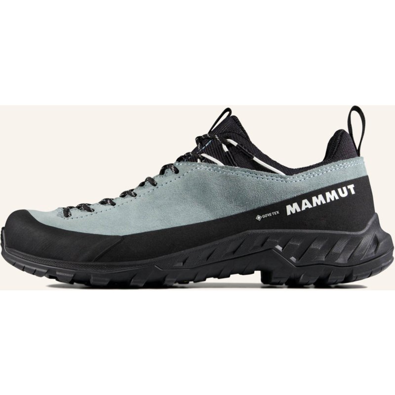 Mammut Zustiegsschuhe Alnasca Iv Low Lth Gore-Tex blau