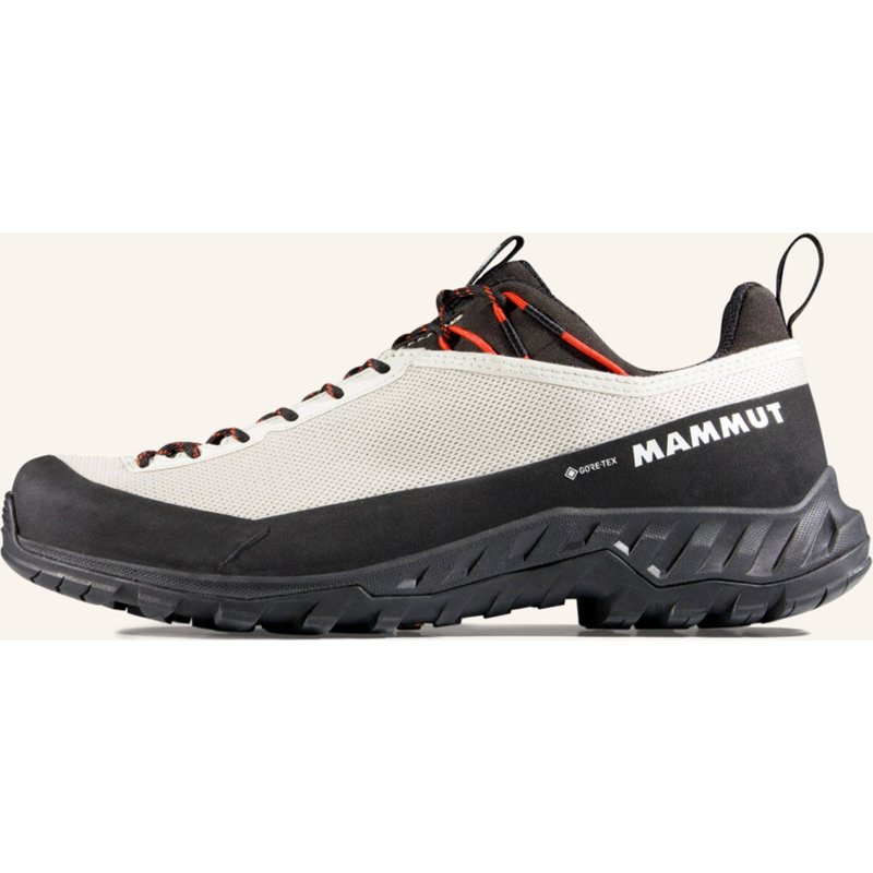 Mammut Zustiegsschuhe Alnasca Iv Low Gore-Tex grau