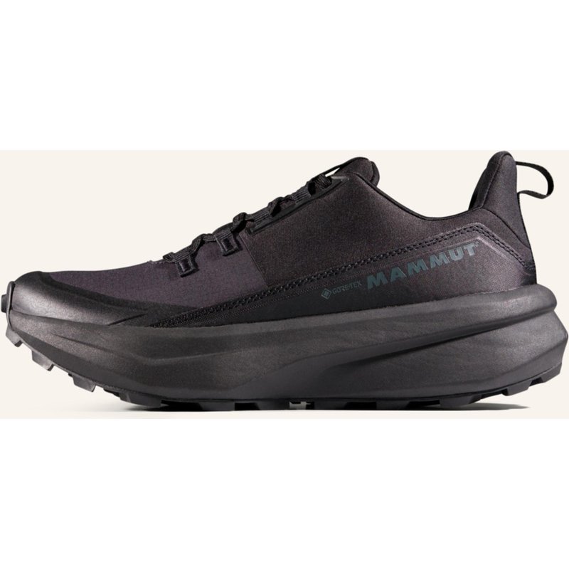 Mammut Wanderschuhe Aenergy Hike Low Gore-Tex schwarz