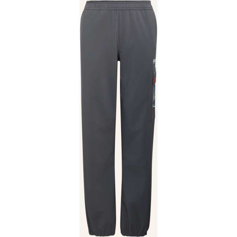 Adidas Terrex Adidas Minecraft Terrex Climawarm Softshell-Hose grau