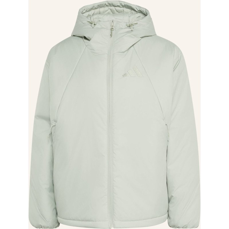 Adidas Terrex Terrex Multi Primaloft Isolierte Kapuzenjacke gruen